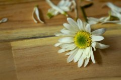 16岁花季少女缘何得了边缘性人格障碍？
